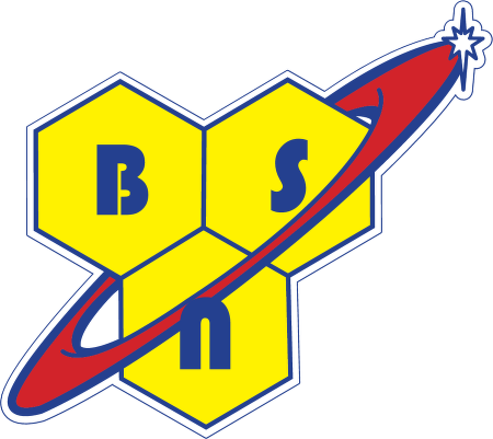 bsn
